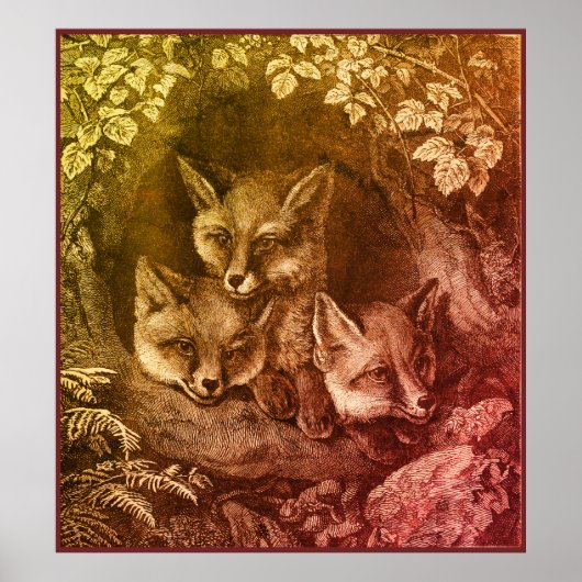  baby Fox Woodland Smart Foxes  boek Poster (Voorkant)