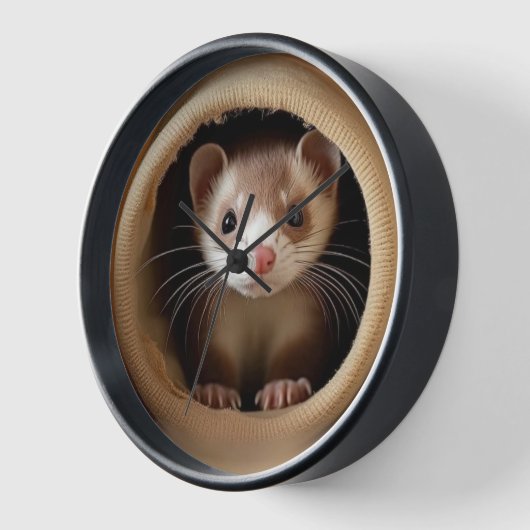 Baby frettengezicht - Schattigee fretten (Hoek)