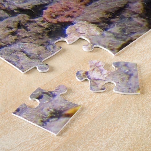 baby galapagos tortoise legpuzzel (Zijkant)