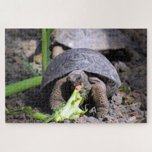 baby galapagos tortoise legpuzzel