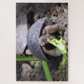 baby galapagos tortoise legpuzzel (Verticaal)