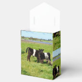 Baby Galloway Calves, Favor Box Bedankdoosjes (Geopend)