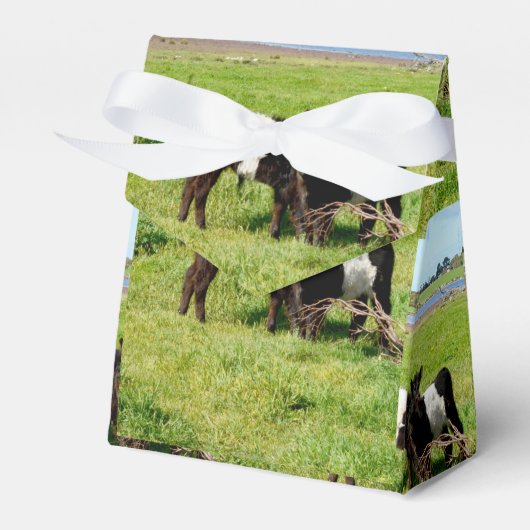 Baby Galloway Calves, Favor Box Bedankdoosjes (Voorkant Zijde)