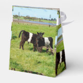 Baby Galloway Calves, Favor Box Bedankdoosjes (Achterkant)
