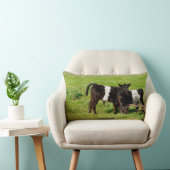 Baby Galloway kalveren, lumbaal kussen (Stoel)
