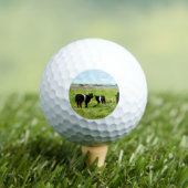 Baby Galloway Koe, Golf Balls Golfballen (Insitu Shirt)