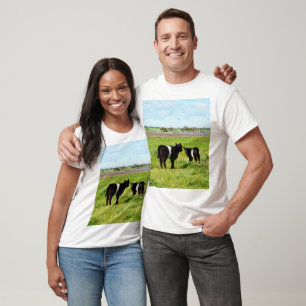 Baby Galloway koeien, T-shirt