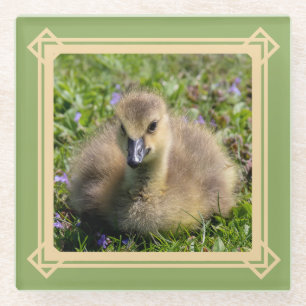 Baby gans glazen onderzetter