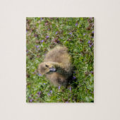 Baby gans legpuzzel (Verticaal)