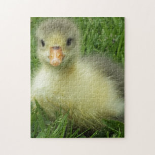baby gansje legpuzzel