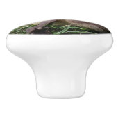 Baby ganzen die vogels houden in het wild keramische knop (Zijkant)