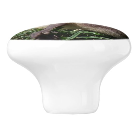 Baby ganzen die vogels houden in het wild keramische knop (Zijkant)