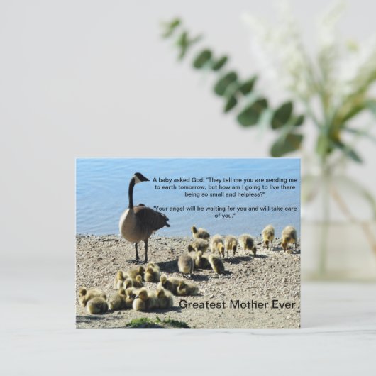 Baby ganzen en Moeder Goose Briefkaart (Staand voorkant)