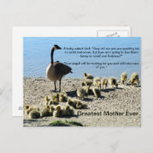 Baby ganzen en Moeder Goose Briefkaart (Voorkant / Achterkant)