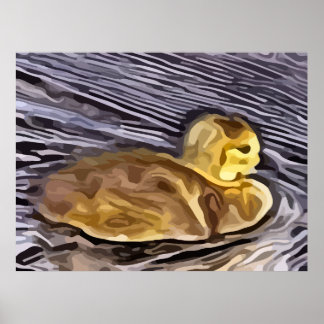 baby ganzenschilderij poster