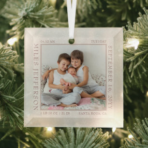 Baby Geboorte Stats Witte Sneeuwvlok Fotolijst Gla Glas Ornament