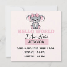 Baby Geboren Details Roze Koala