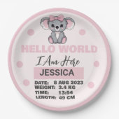 Baby Geboren Details Roze Koala Papieren Bordje (Voorkant)