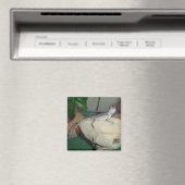 Baby Gedekte draak Magneet (Insitu (Vaatwasser))