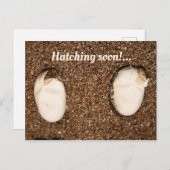 Baby Gedekte Dragons Hatching! Briefkaart (Voorkant / Achterkant)