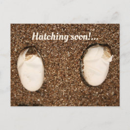 Baby Gedekte Dragons Hatching! Briefkaart