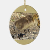 Baby Geese Foto Ornament (Rechts)