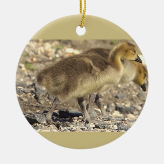 Baby Geese Foto Ornament (Voorkant)
