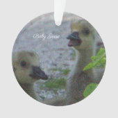 Baby Geese Foto Ornament (voorkant)