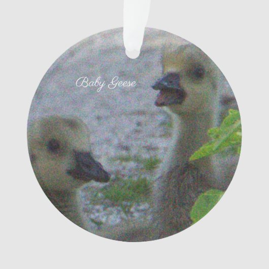 Baby Geese Foto Ornament (voorkant)