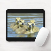 Baby Geese Muismat (Met muis)