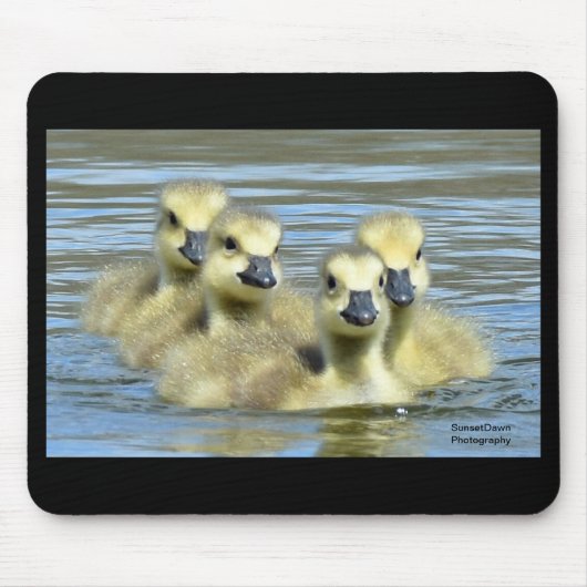 Baby Geese Muismat (Voorkant)
