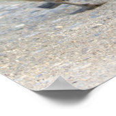 Baby Geese Poster (Hoek)