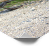 Baby Geese Poster (Hoek)