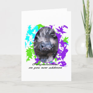 Baby Gefeliciteerd: Gefeliciteerd baby Kaart