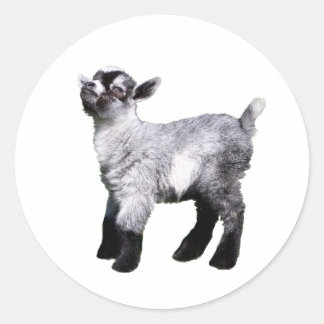 baby geit links ronde sticker