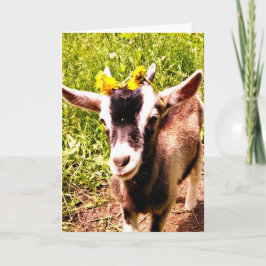 Baby Geit met bloemen - Blank Kaart