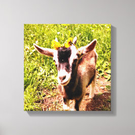 Baby Geit met bloemen - Ingewikkelde Canvas Print