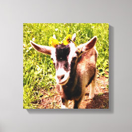 Baby Geit met bloemen - Ingewikkelde Canvas Print