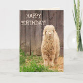 Baby Geitdag Kaart (Voorkant)