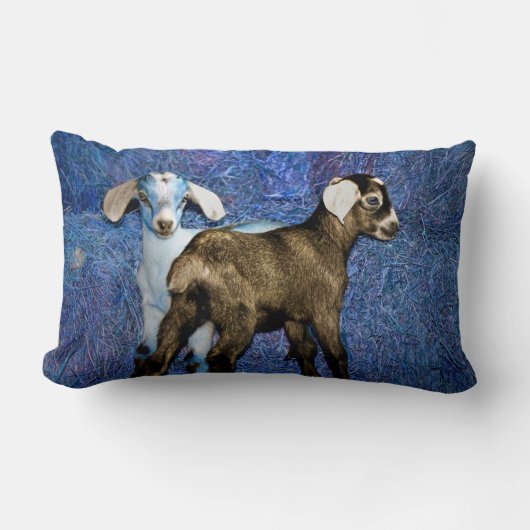 Baby Geiten Kussen (Voorkant)