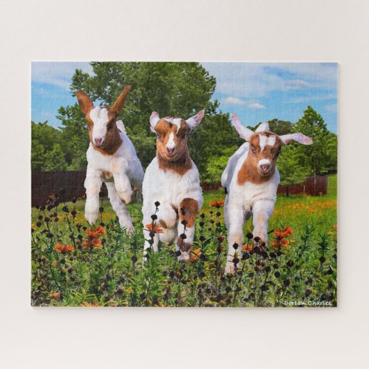 "Baby geiten" Legpuzzel (Horizontaal)