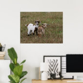 Baby Geiten Poster (Thuiskantoor)