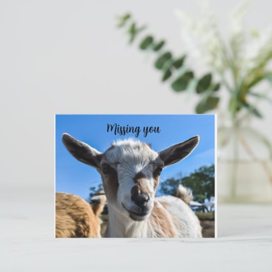 Baby-geitengroet Briefkaart (Staand voorkant)