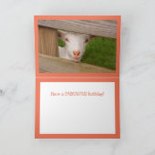 Baby Geitenpoëzie Birthday Kaart (Binnen)