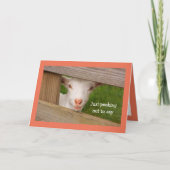 Baby Geitenpoëzie Birthday Kaart (Voorkant)