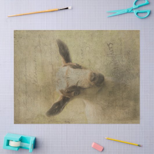 Baby Geitensok Tissuepapier (Craft)