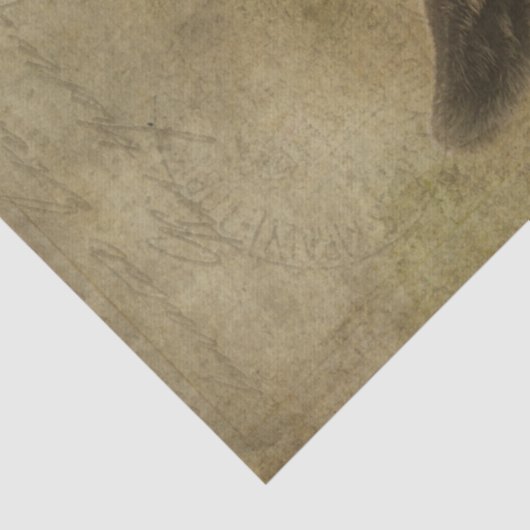 Baby Geitensok Tissuepapier (Detail)