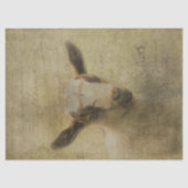 Baby Geitensok Tissuepapier (Voorkant)