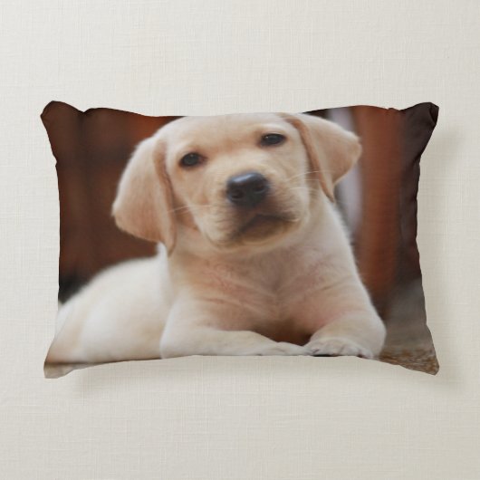 Baby gele Labrador Puppy Dog op Belly Accent Kussen (Voorkant)