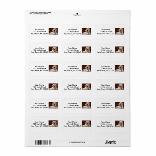 Baby gele Labrador Puppy Dog op Belly Etiket (Full Sheet)